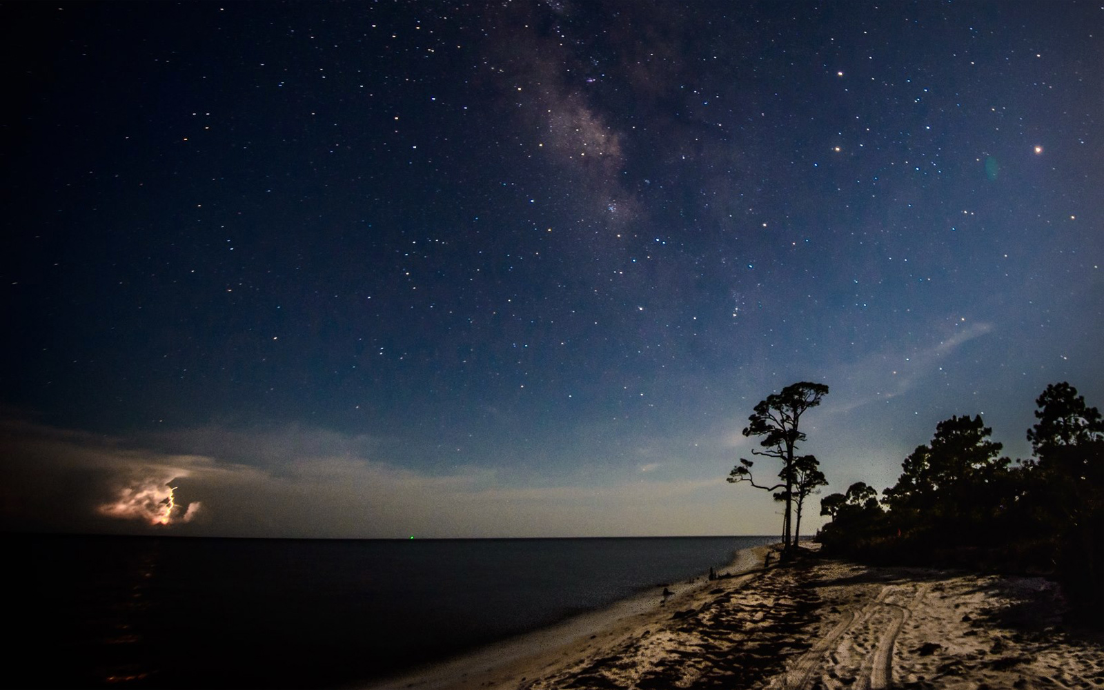 sandy beachshore against a dark blue sky filled with stars.