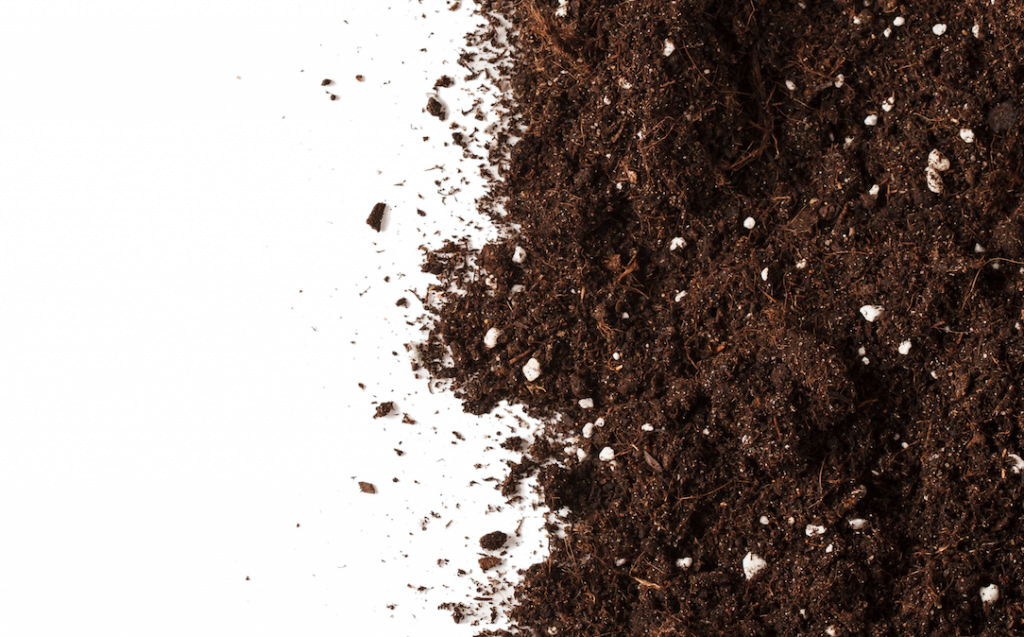brown soil