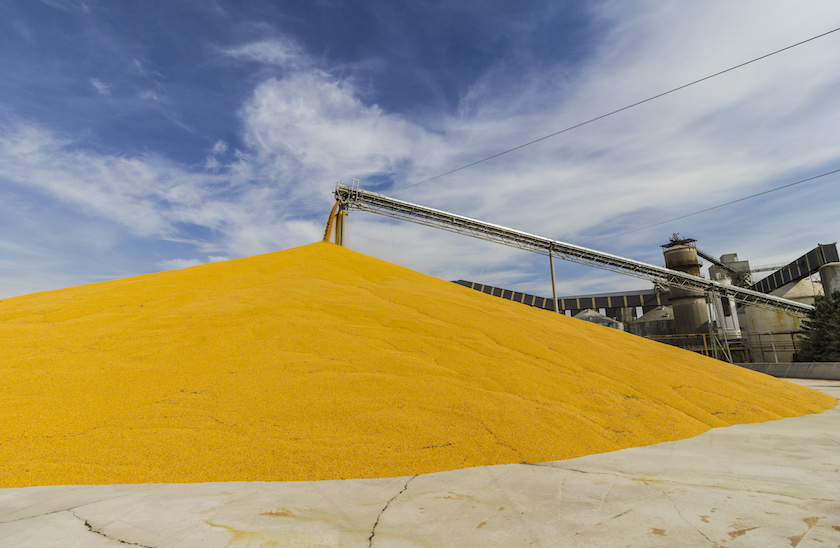 mound of biofuel at production plant.